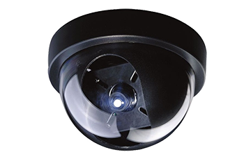 Vehicle Surveillance System